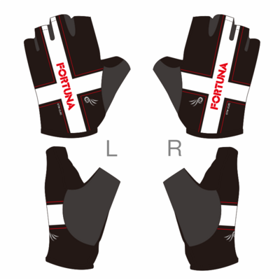 LRsv_Gloves.png